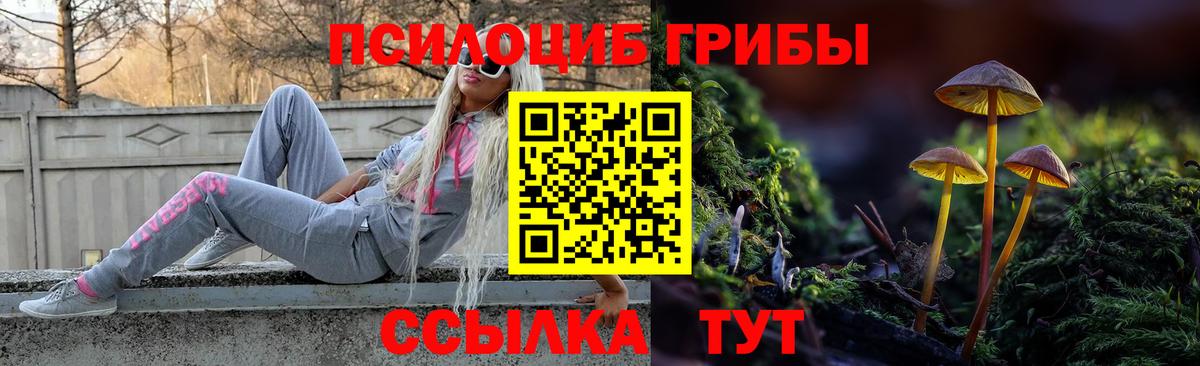 Снежинск  где купить наркоту  Вход с VPN  Галлюциногенные грибы ЛСД 