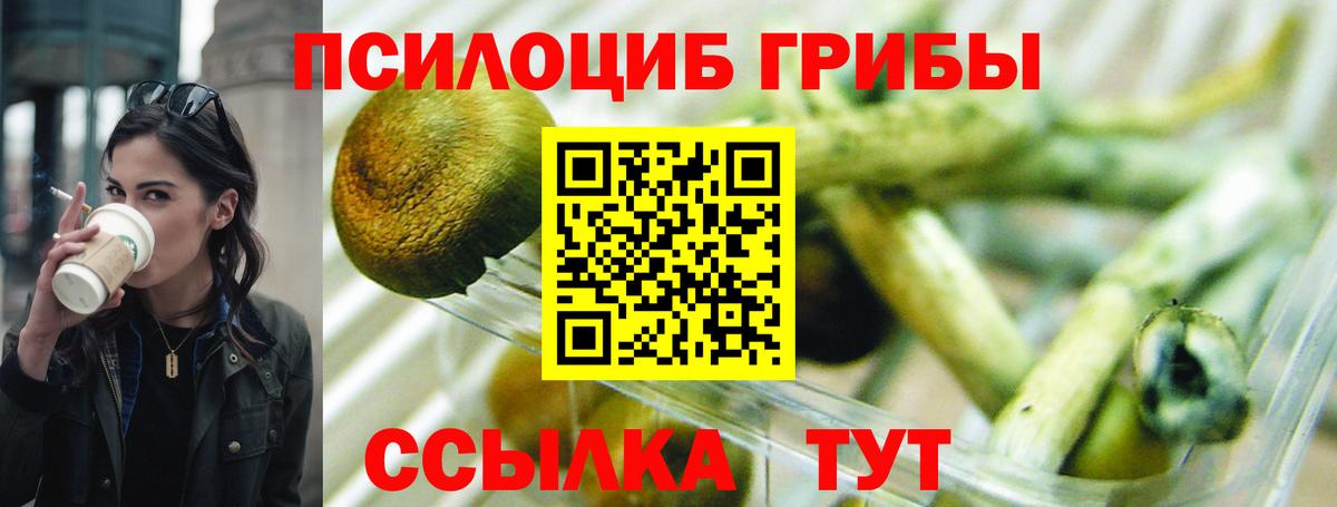 Галлюциногенные грибы Cubensis Снежинск